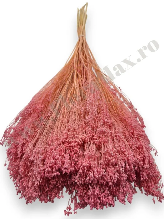 broom-bloom-100g-calitate-premium-invitatii-nunta-botez.jpg [1]