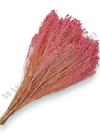 Broom Bloom - broom-bloom-100g-calitate-premium-invitatii-nunta-botez.jpg