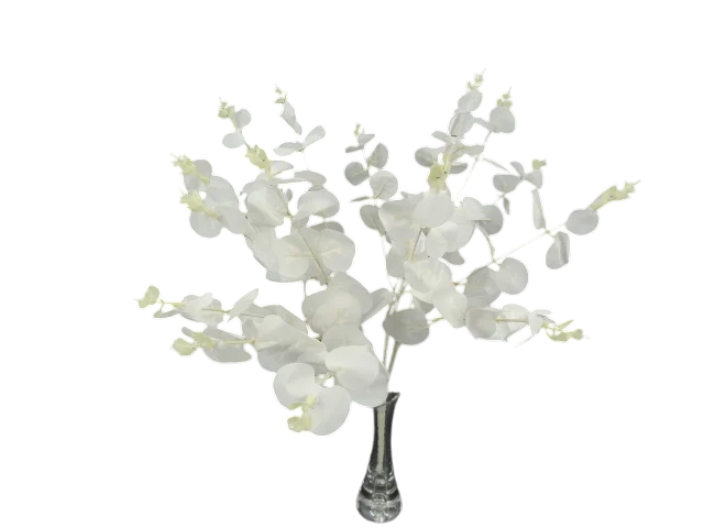 Buchet Eucalipt Alb 45 cm