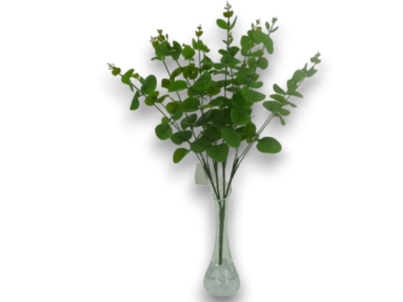 Sezon - Buchet Eucalipt Verde 45 cm