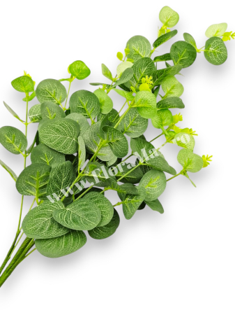 Produse - Buchet Eucalipt Verde artificial 70 cm