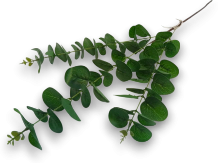 Frunze - Buchet Eucalipt Verde 88 cm