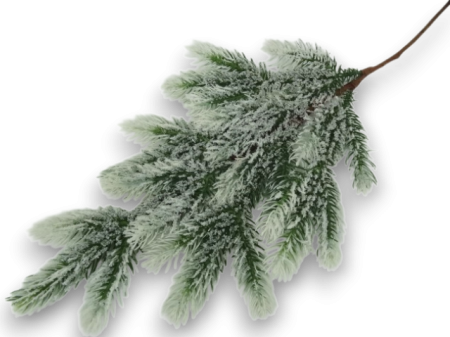 Produse - Creanga brad nins 71 cm