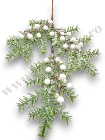 creanga-brad-nins-bilute-albe-53cm-floramax [1]