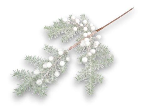 Produse - Creanga brad nins cu bilute albe 53 cm