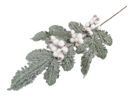 Produse - Creanga brad nins cu macese ninse albe brumate 61 cm