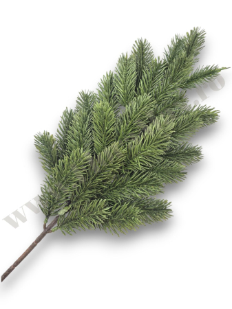 creanga-brad-verde-62cm-floramax