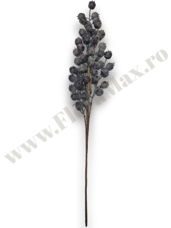 creanga-macese-mov-brumate-60cm-floramax [2]