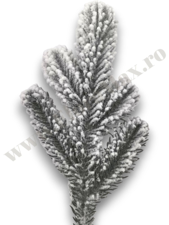 crenguta-brad-alb-ninsa-5-ramificatii-34cm-floramax [1]