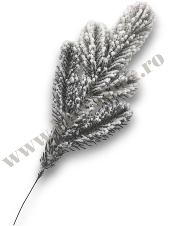 Produse-NOUTATI - crenguta-brad-alb-ninsa-5-ramificatii-34cm-floramax