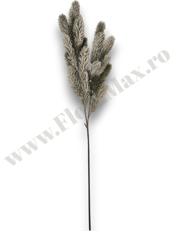 crenguta-brad-nins-aranjamente-72cm-floramax [2]