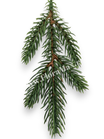 Crenguta brad verde 22 cm cu 5 ramificatii pentru aranjamente Craciun [2]