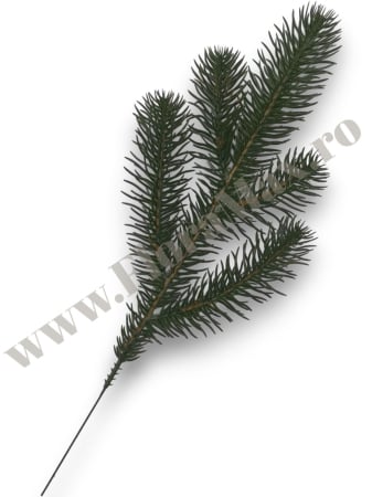 Produse-NOUTATI - Crenguta brad verde pentru aranjamente Craciun cu 5 ramificatii M2 - Floramax