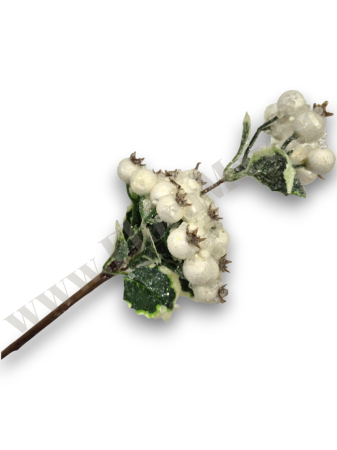 crenguta-macese-inghetate-albe-30cm-floramax