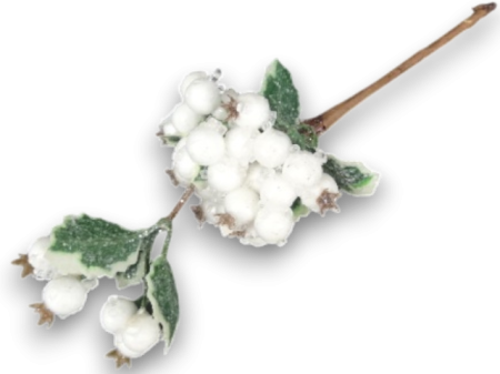 Produse - Crenguta macese inghetate albe 30 cm