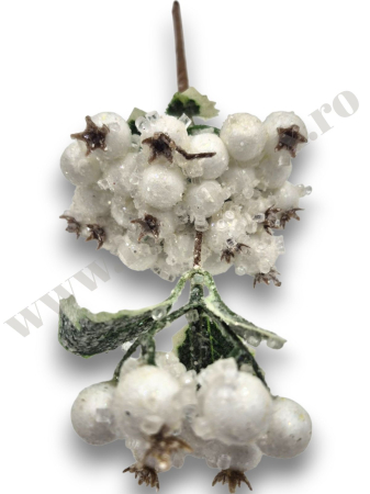 crenguta-macese-inghetate-albe-30cm-floramax [1]