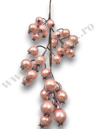 crenguta-macese-roz-perlata-62cm-floramax [2]