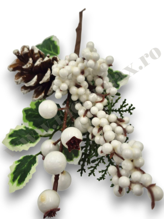 crenguta-craciun-bilute-albe-macese-con-24cm-floramax [1]