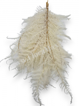 feriga-stabilizata-alb-ivory-10-fire-40-50cm [1]
