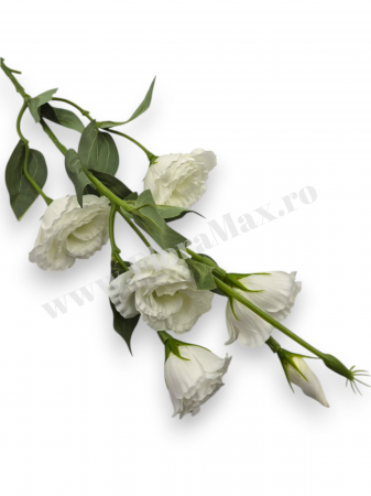 Fir Eustoma 5 Capete [1]