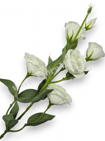 Crengi - Fir Eustoma 5 Capete
