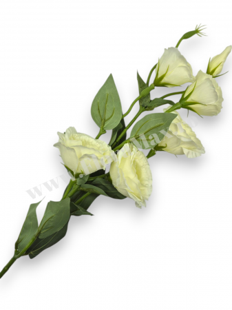 Crengi - Fir Eustoma 5 Capete