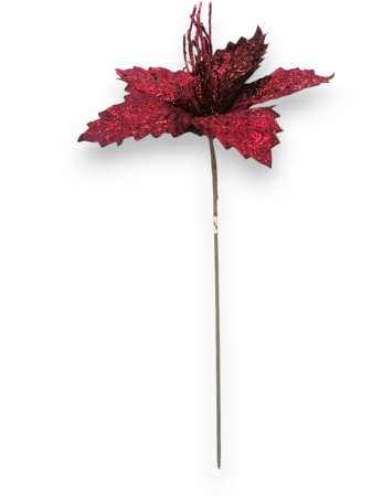 Floare Craciun craciunita bordeaux 20 cm [1]