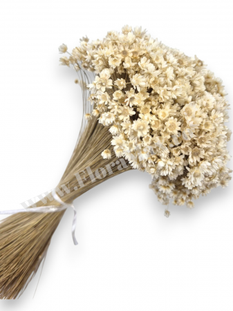 Diverse Flori Uscate - Glixia flori uscate naturale – buchet decorativ colorat pentru aranjamente florale, nunti si decor interior