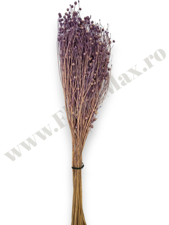 In ( Lino ) LAVANDA 100 grame