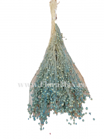 In ( Lino) - In ( Lino ) BLEU 100 grame