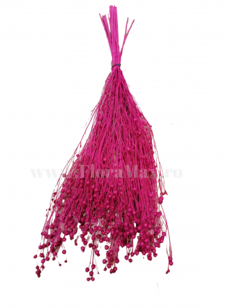 In ( Lino) - In ( Lino ) FUCSIA 100 grame