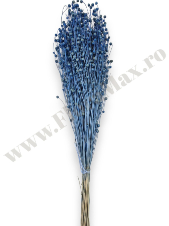 In ( Lino) - In (Lino) calitate premium flori uscate invitatii nunta botez