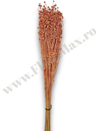 In ( Lino ) ROZ INCHIS 100 grame