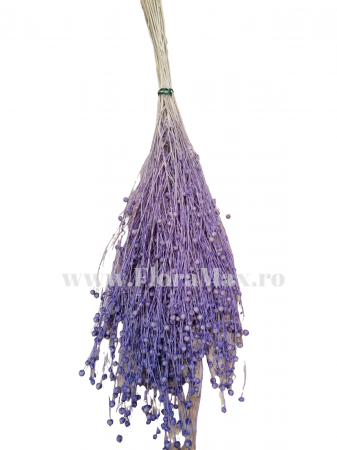 In ( Lino) - In ( Lino ) LAVANDA 100 grame