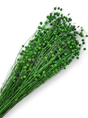 In ( Lino ) VERDE 100 grame