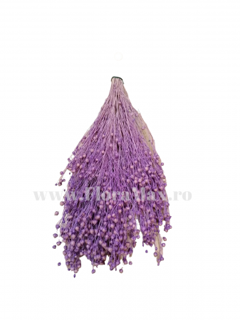 In ( Lino) - In ( Lino ) LILA 100 grame