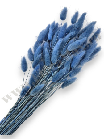 Lagurus - lagurus-50-grame-calitate-premium-buchete-mireasa-flori-uscate-criogenate