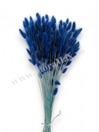 Lagurus uscat - Flori decorative naturale [1]