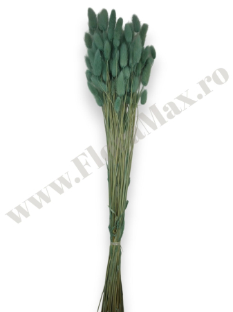 lagurus-50-grame-calitate-premium-buchete-mireasa-flori-uscate-criogenate [1]