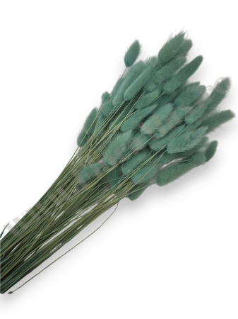 Lagurus - lagurus-50-grame-calitate-premium-buchete-mireasa-flori-uscate-criogenate