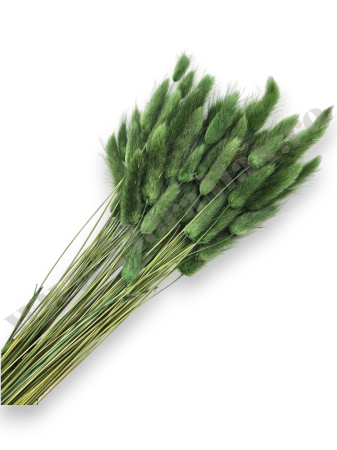 Lagurus - lagurus-50-grame-calitate-premium-buchete-mireasa-flori-uscate-criogenate