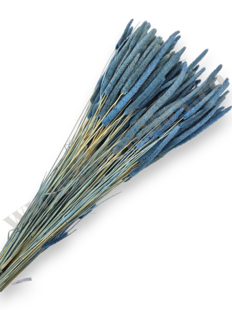 Diverse Flori Uscate - phleum-100g-calitate-premium-flori-uscate-ieftine.jpg