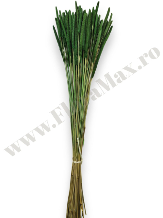 phleum-100g-calitate-premium-flori-uscate-ieftine.jpg [2]