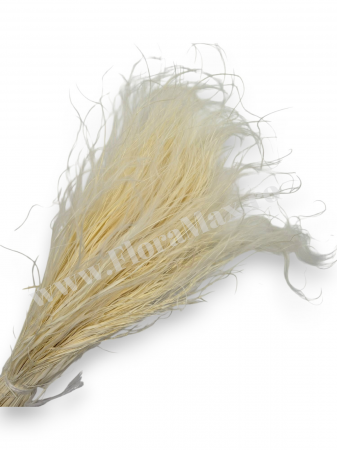 Stipa - Stipa Flori Uscate Naturale
