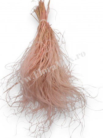 Stipa Flori Uscate Naturale [2]
