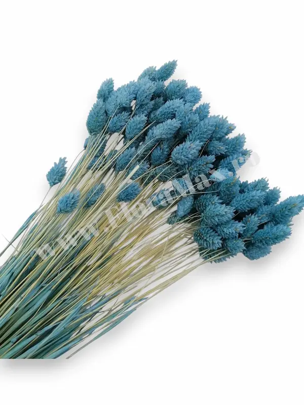 Produse-NOUTATI - Talaris Uscat – Flori Decorative pentru Aranjamente Florale, Nunti si Botezuri