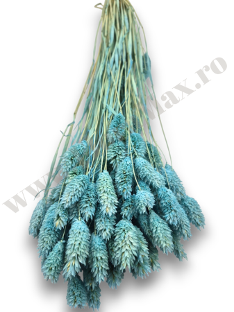 Talaris Uscat – Flori Decorative pentru Aranjamente Florale, Nunti si Botezuri [1]