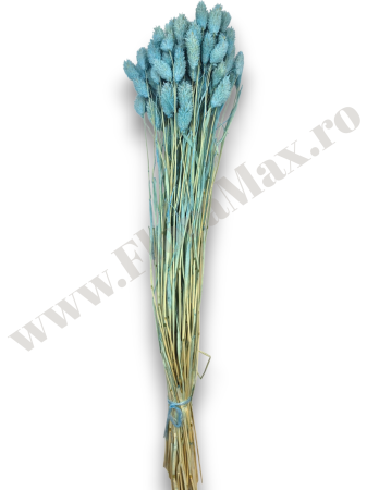 Talaris Uscat – Flori Decorative pentru Aranjamente Florale, Nunti si Botezuri [2]