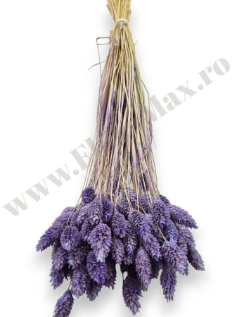 Talaris Uscat – Flori Decorative pentru Aranjamente Florale, Nunti si Botezuri [2]