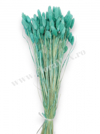 Talaris Uscat – Flori Decorative pentru Aranjamente Florale, Nunti si Botezuri [1]